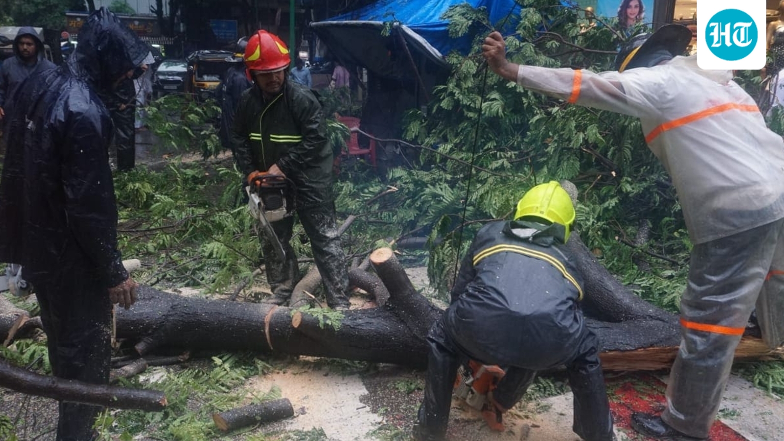 'Every tree makes us anxious': 8 years after fatal tree branch accident, Mumbai family lives with monsoon ‘trauma’