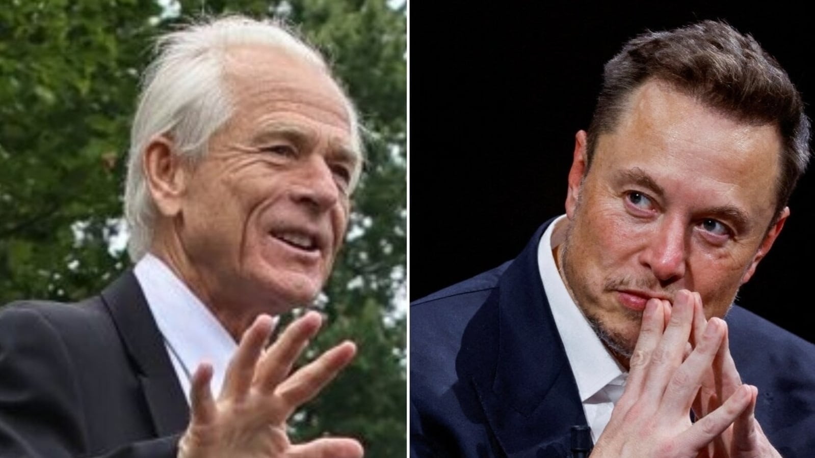What Elon Musk said after Trump aide Peter Navarro's anti-India post was fact-checked on X