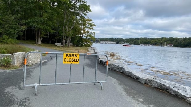 Woods ban lifted for parts of Nova Scotia