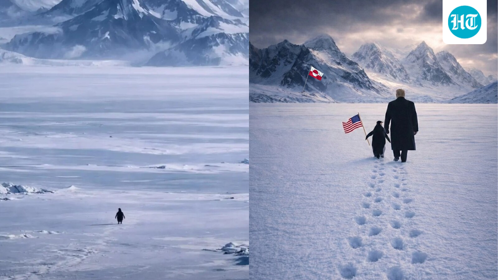 What is viral ‘Nihilist Penguin’ trend on social media that even Trump has joined?