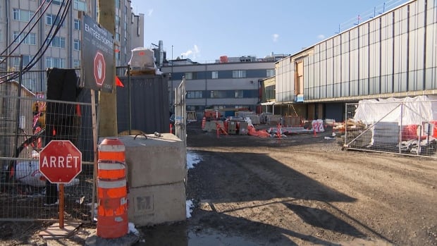 Mice, rats, roaches: Keeping pests at bay an ongoing challenge for Montreal hospitals
