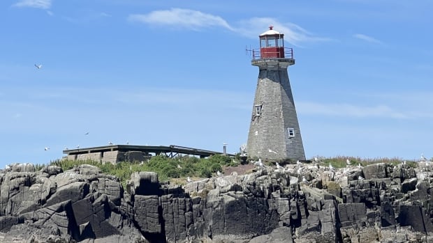 Volunteers from across North America giving crumbling N.S. lighthouse a facelift