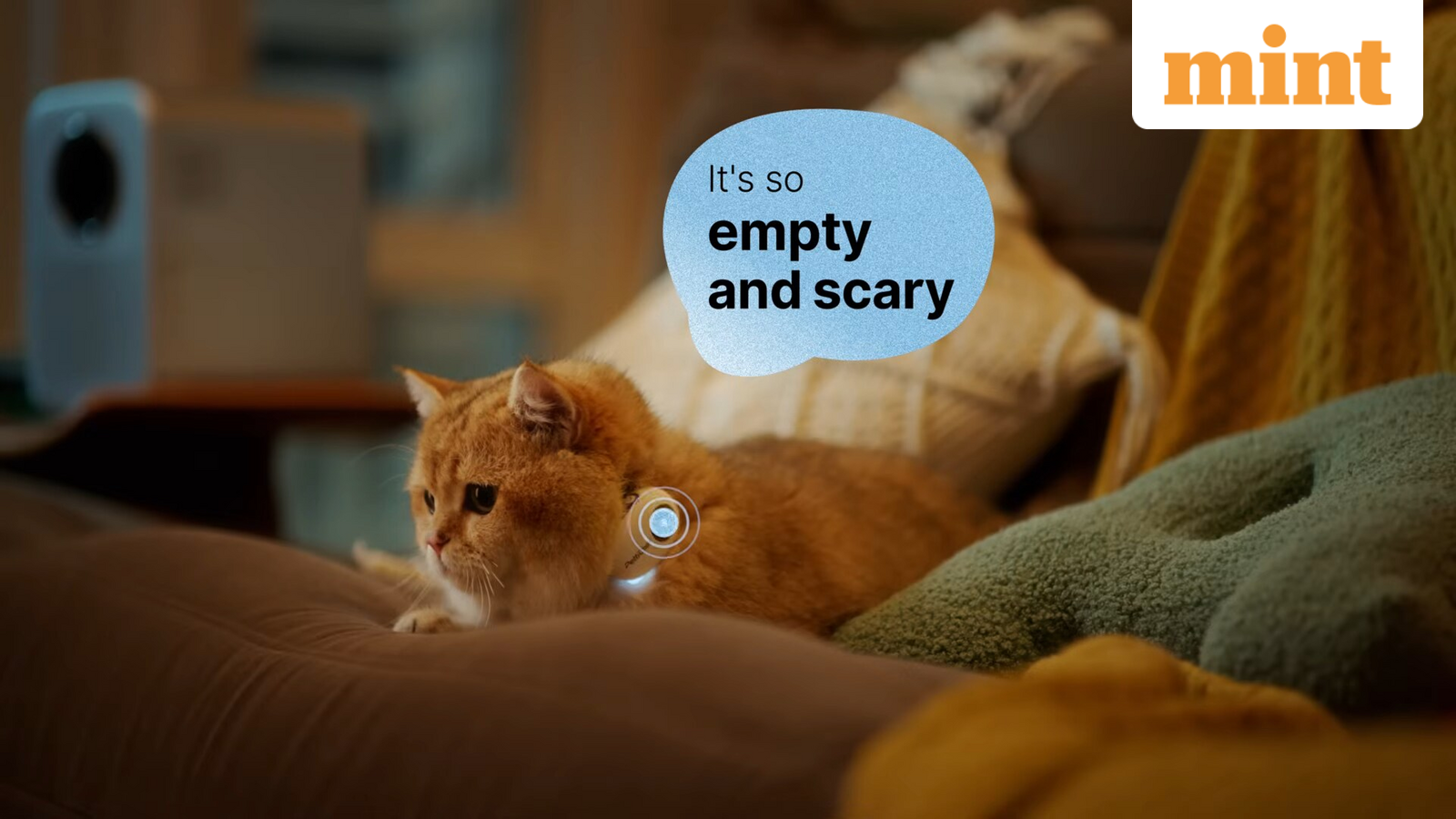 Chinese startup claims it developed an AI collar that translates human words into barks and meows