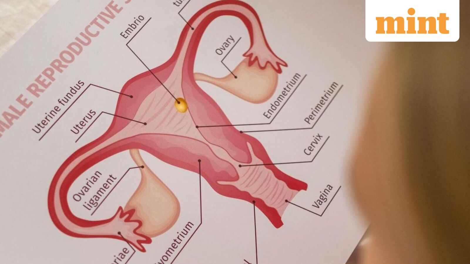 PMOS or PCOS isn't just about hormones: Here are the lifestyle factors experts want women to know