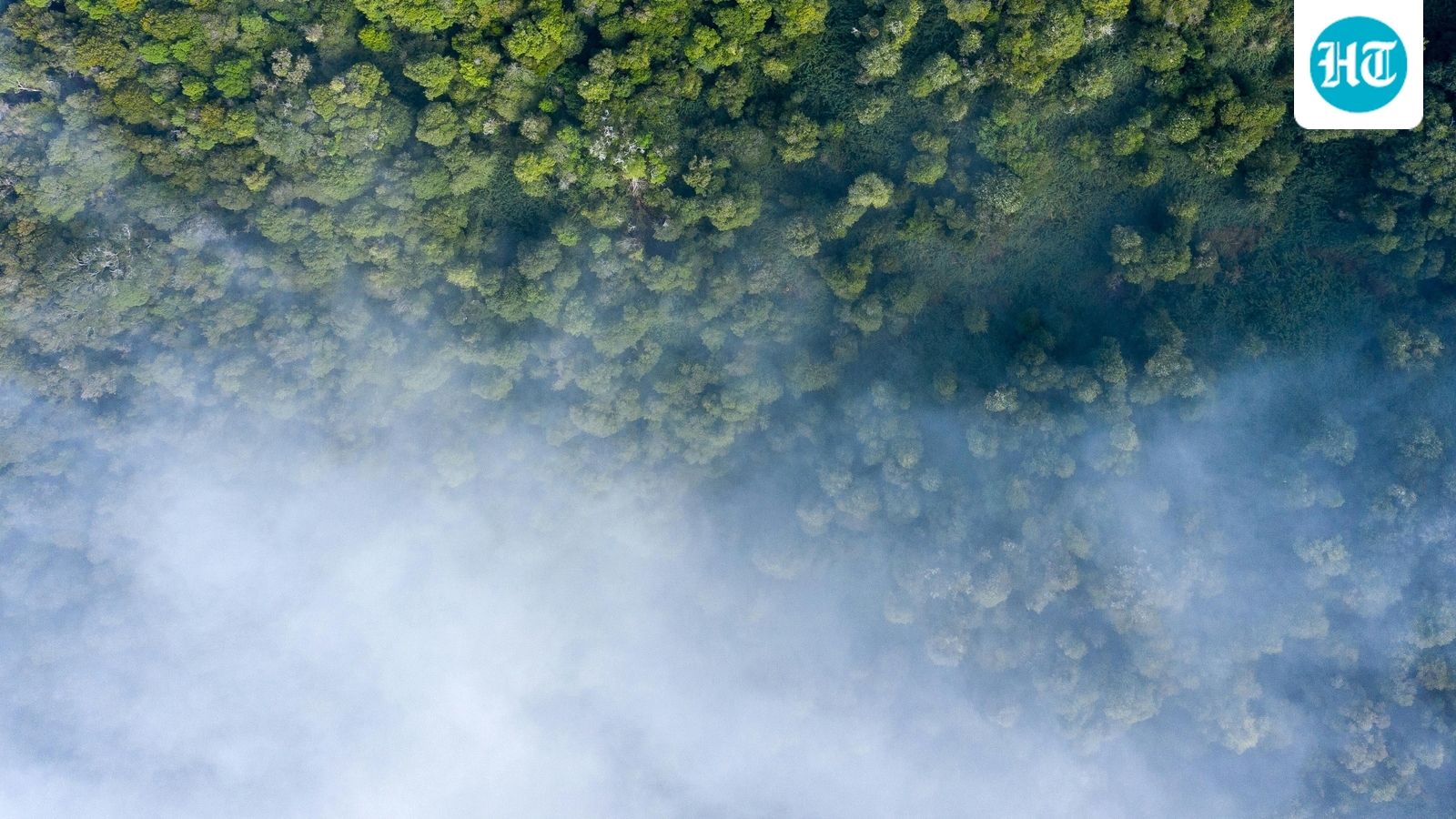 Jurupa Valley Fire: Blaze reported in Yearling Way, Pedley; photos emerge as Riverside FD issues update