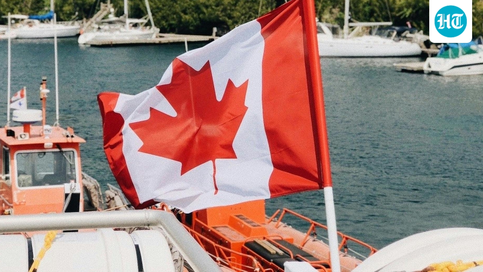 Why is an increasing number of Americans seeking Canadian citizenship? Explained