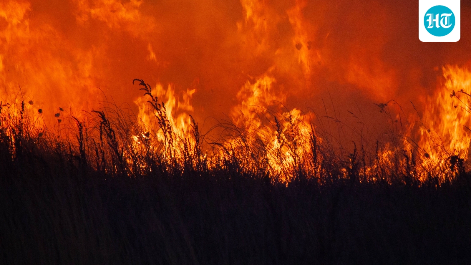 Salt Lake City wildfire: Map, evacuation updates as videos show Bonneville Fire burning near University of Utah Hospital