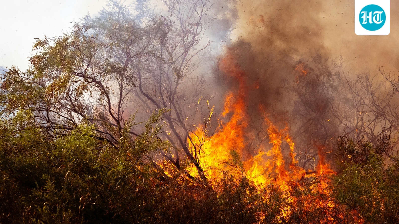 Alsip fire: Brush fire reported at S Kostner Avenue; scary visuals emerge