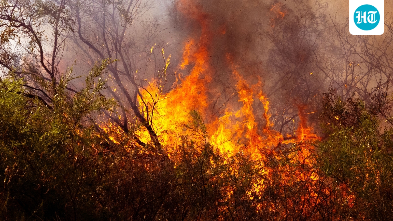 Chelan Hills Fire map: Massive blaze burns in Douglas County, WA; check out affected areas, evacuation orders, videos