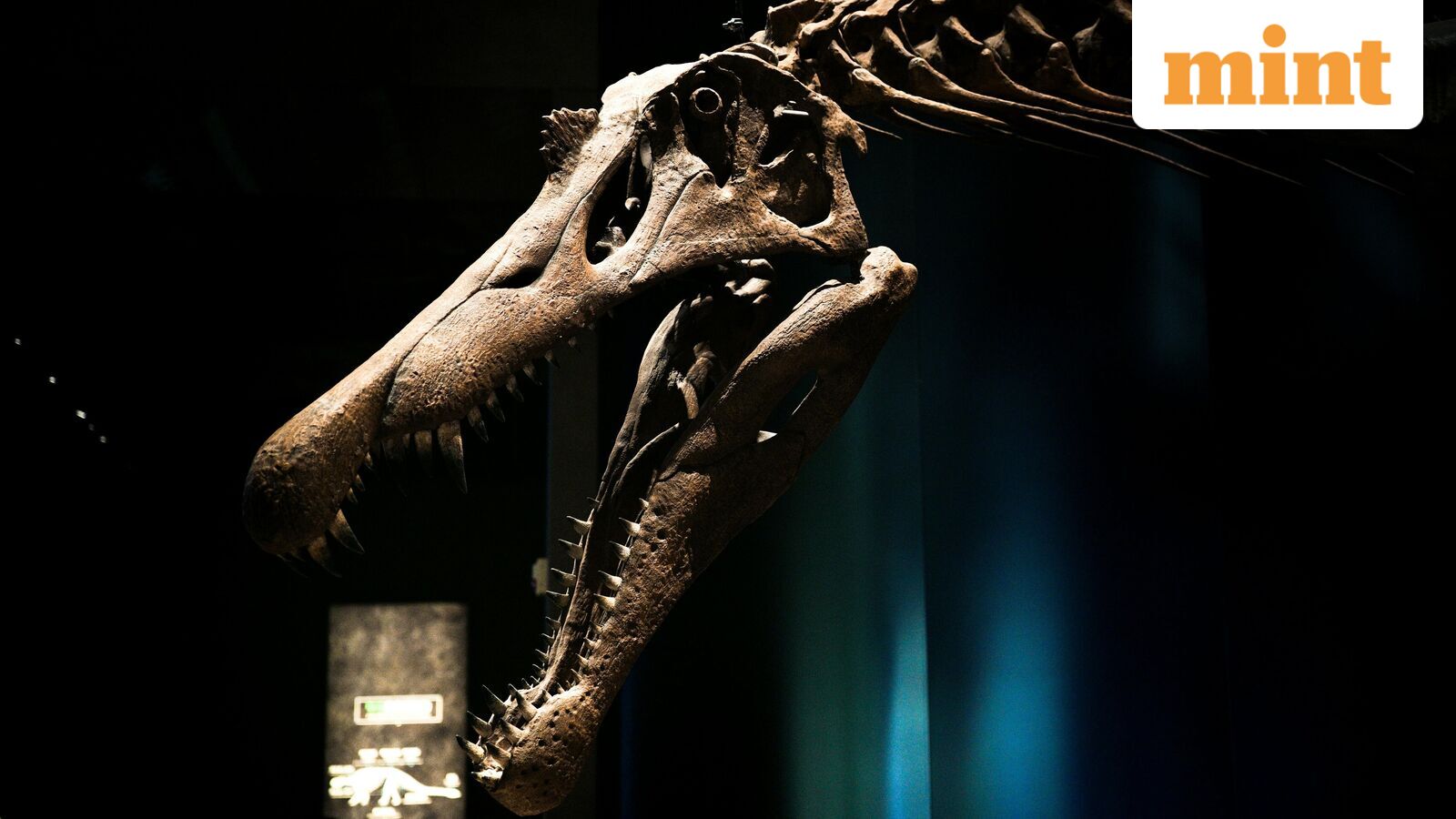 New Spinosaurus species found in Sahara — All about 95 million-year-old dinosaur fossil discovery