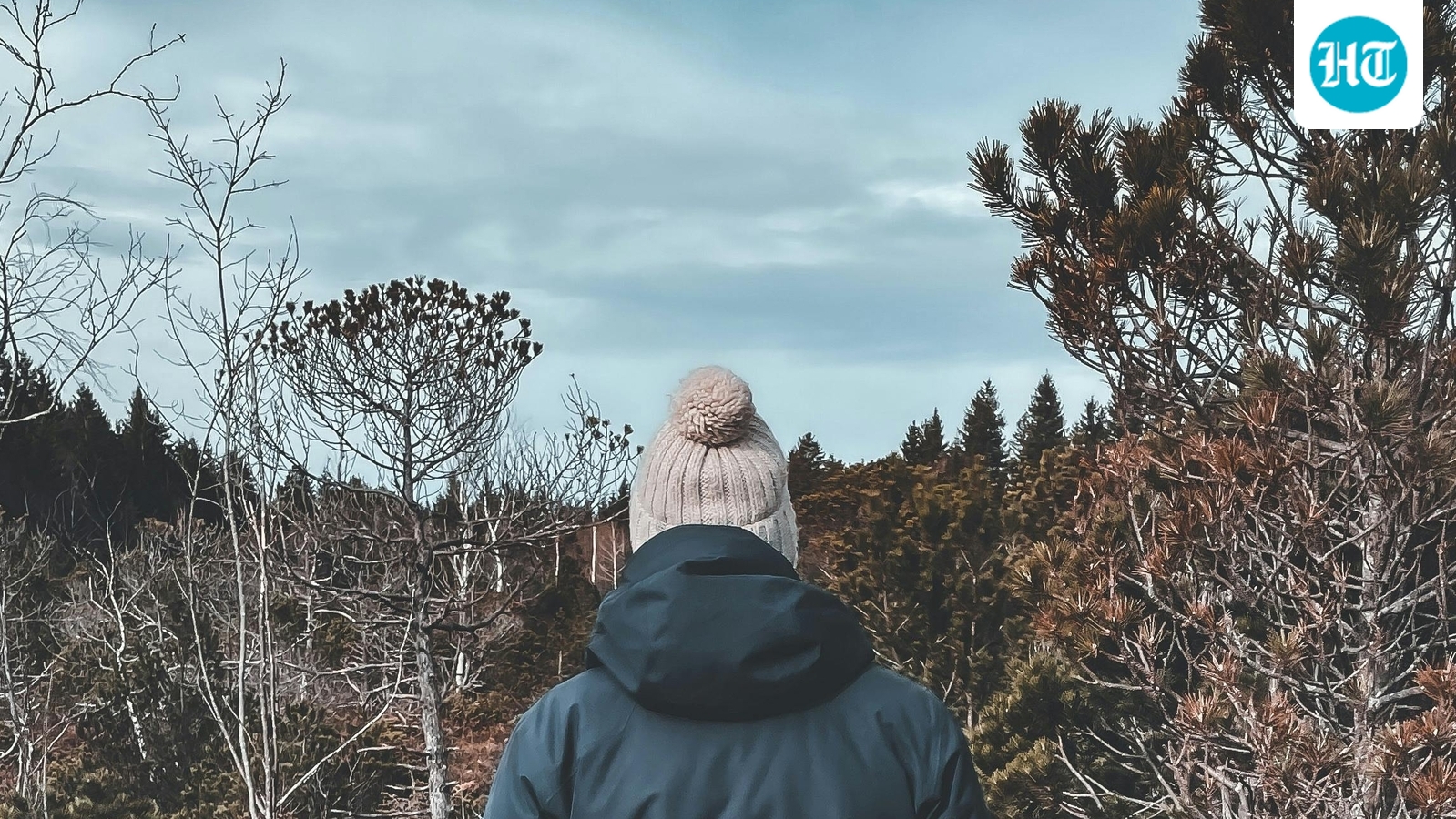 Florida to experience season’s coldest weather with Arctic front on the way – what to know