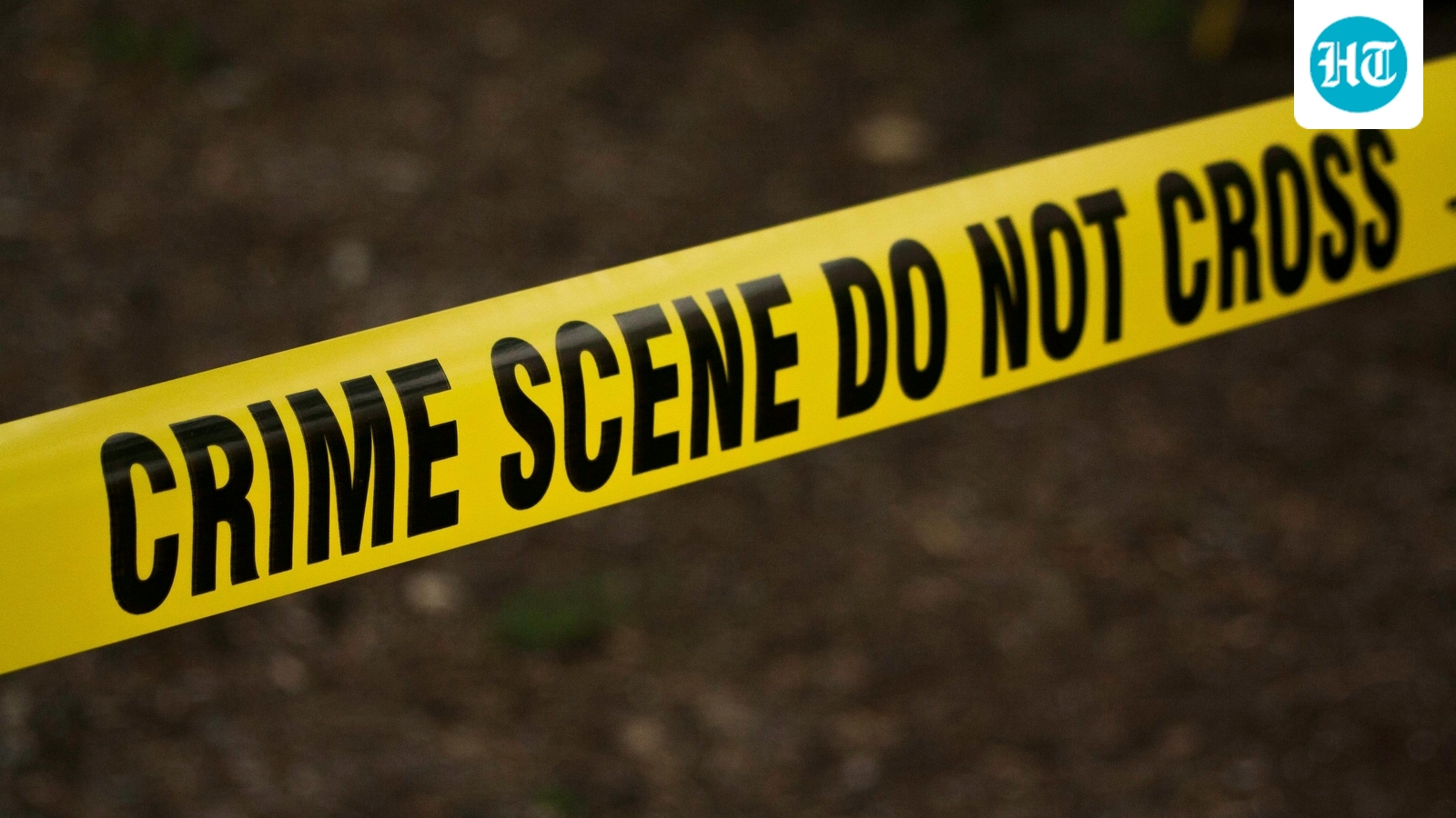 Married woman killed by lover over mobile chat in UP's Jaunpur; body dismembered