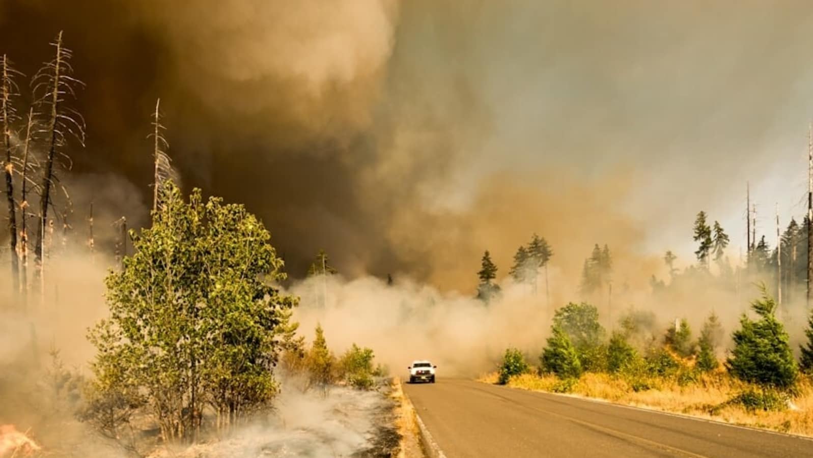 El Dorado Hills ‘Valley Fire’ map, evacuation updates: Videos show massive smoke near Cameron Park