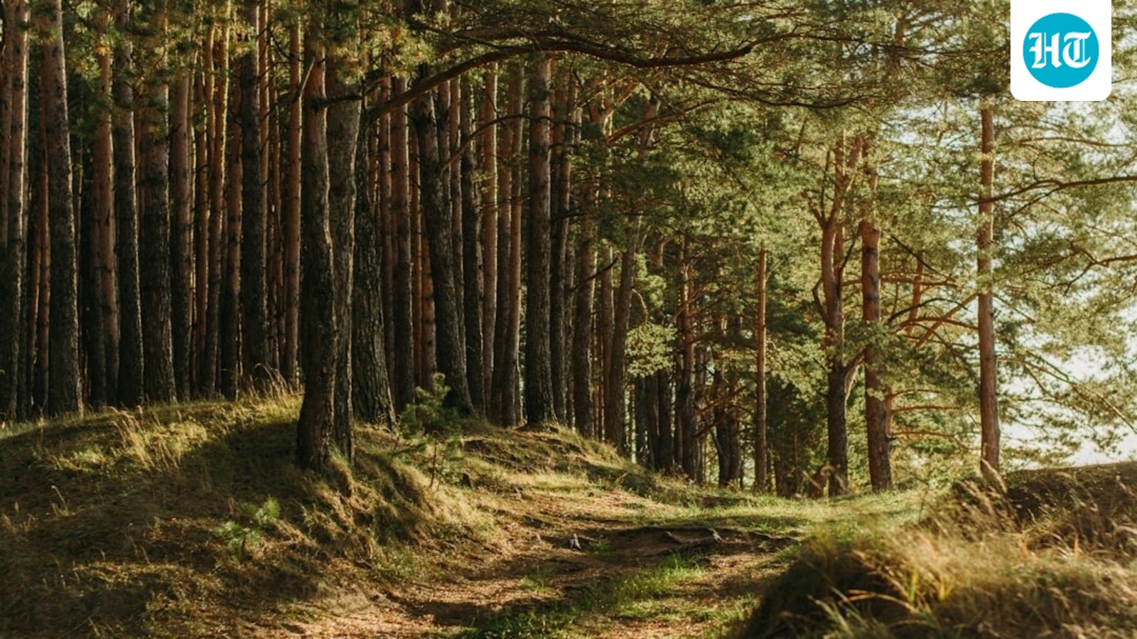Bengal e-way to impact protected forest land