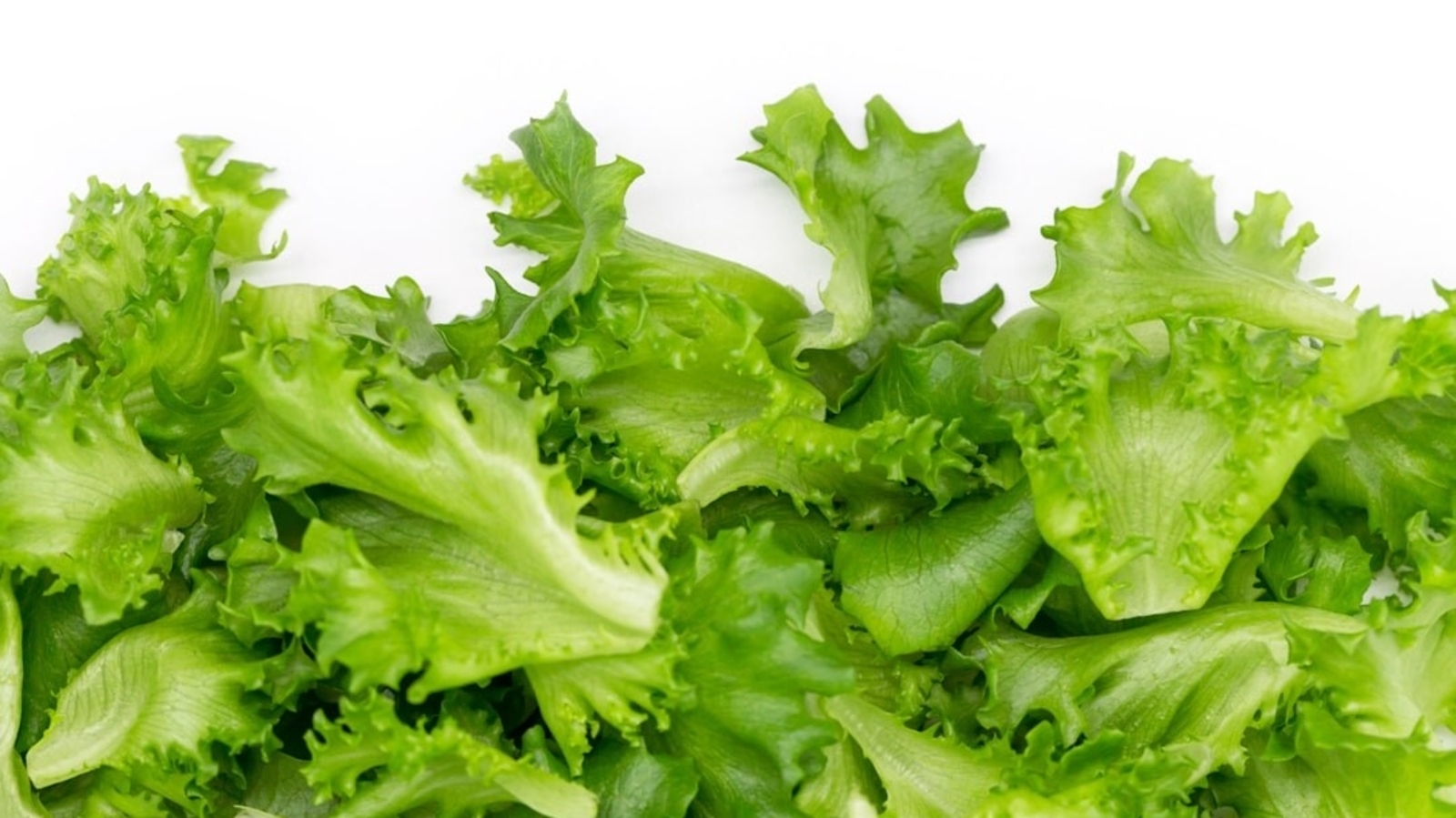 Taylor Farms: All about the Taco Bell lettuce supplier linked to US cyclosporiasis outbreak