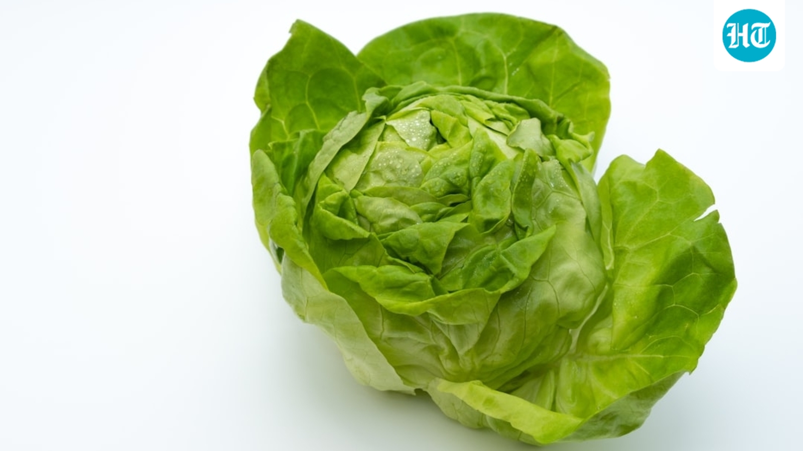Cyclospora outbreak: Is lettuce causing over 3,000 diarrhea cases in Michigan, Ohio? What officials say