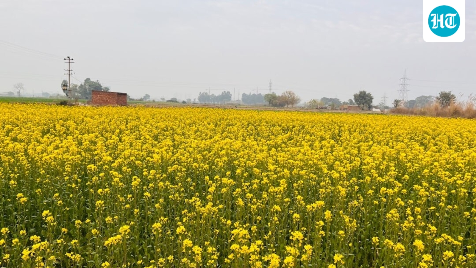 Punjab witnesses better connectivity, improved agricultural infrastructure aided by Centre's schemes