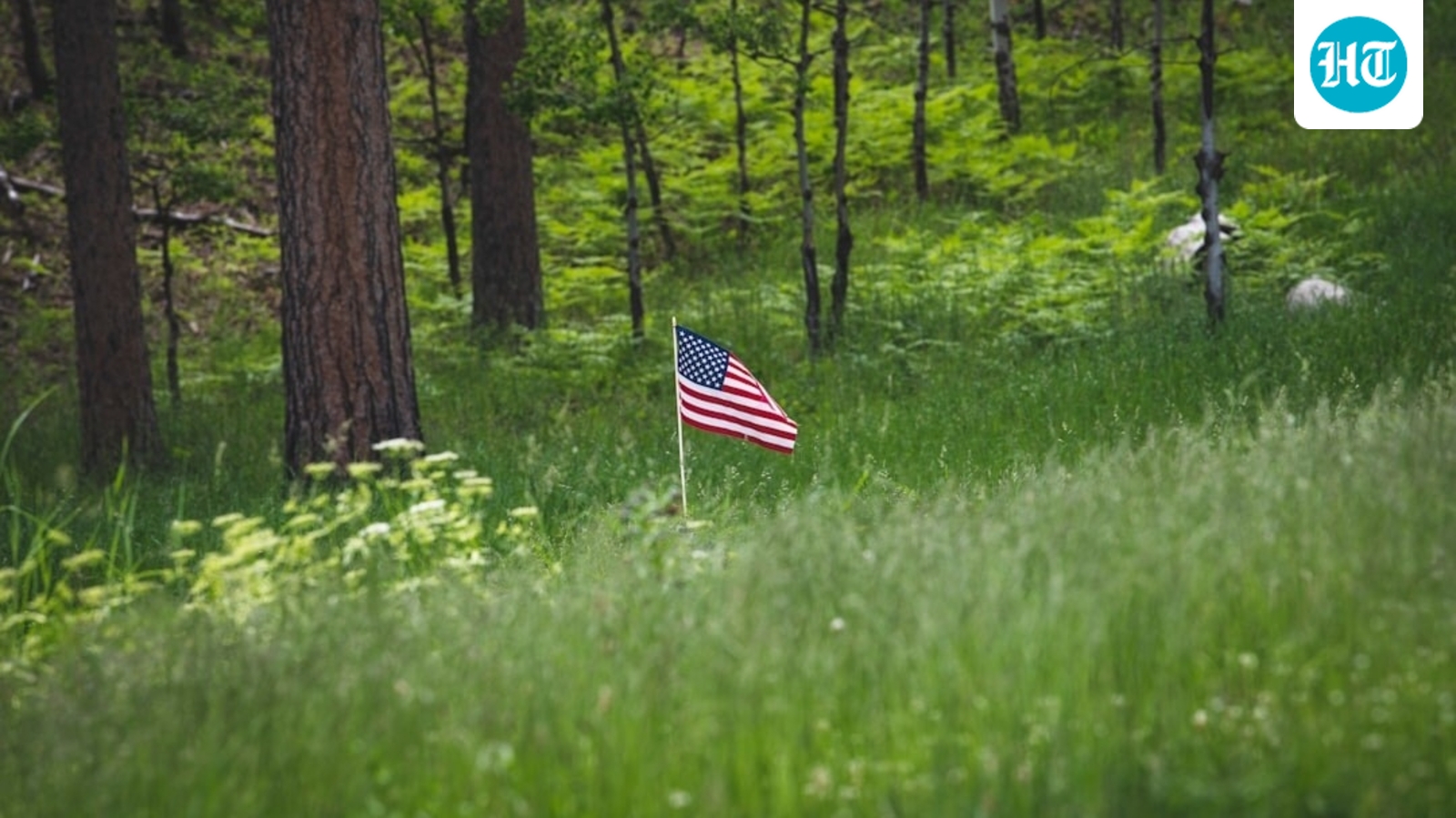 Trump dismantling US forest services? What we know about 57 facilities closing