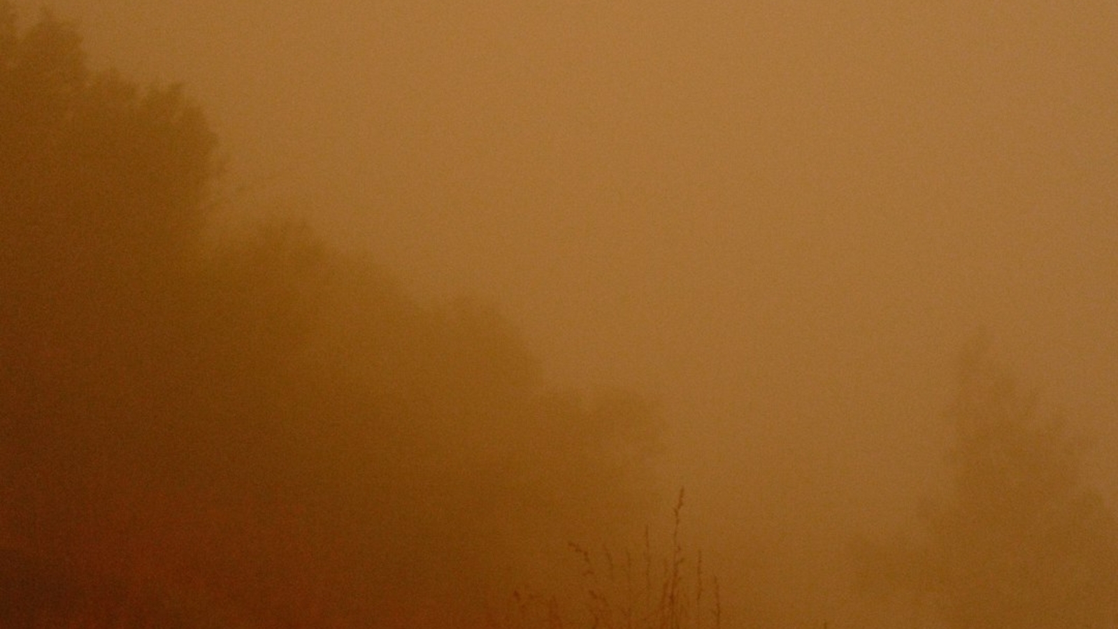 Fire in Charlotte today? Smoke and poor air quality spark concern