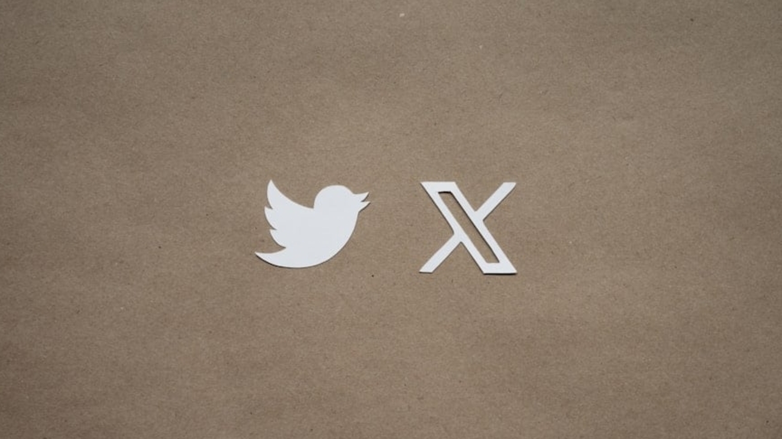 X down? Twitter users report ‘no results’ error
