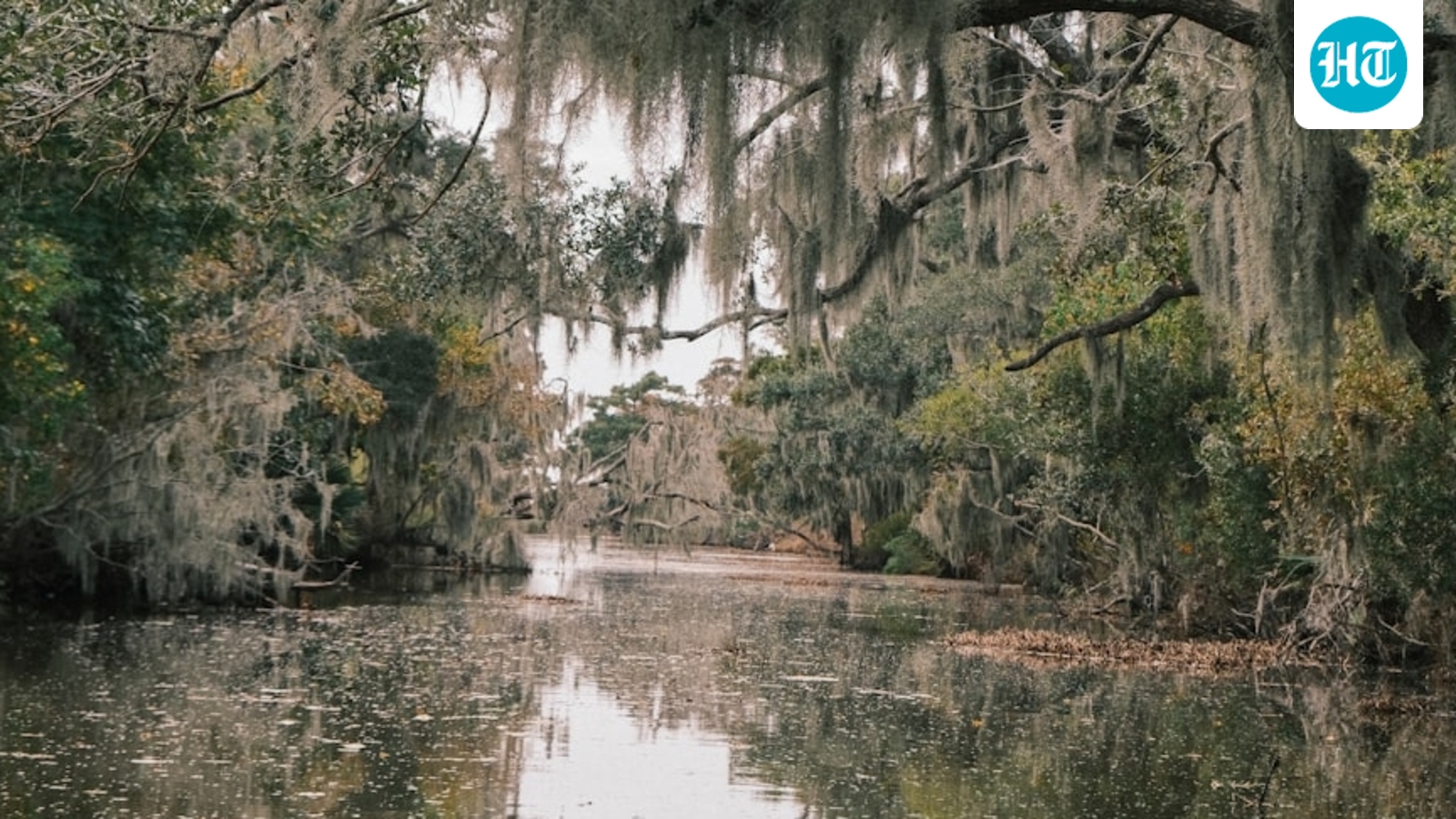 Serial killer rumors in Texas after 3 bodies found in Houston's Buffalo Bayou; experts weigh in