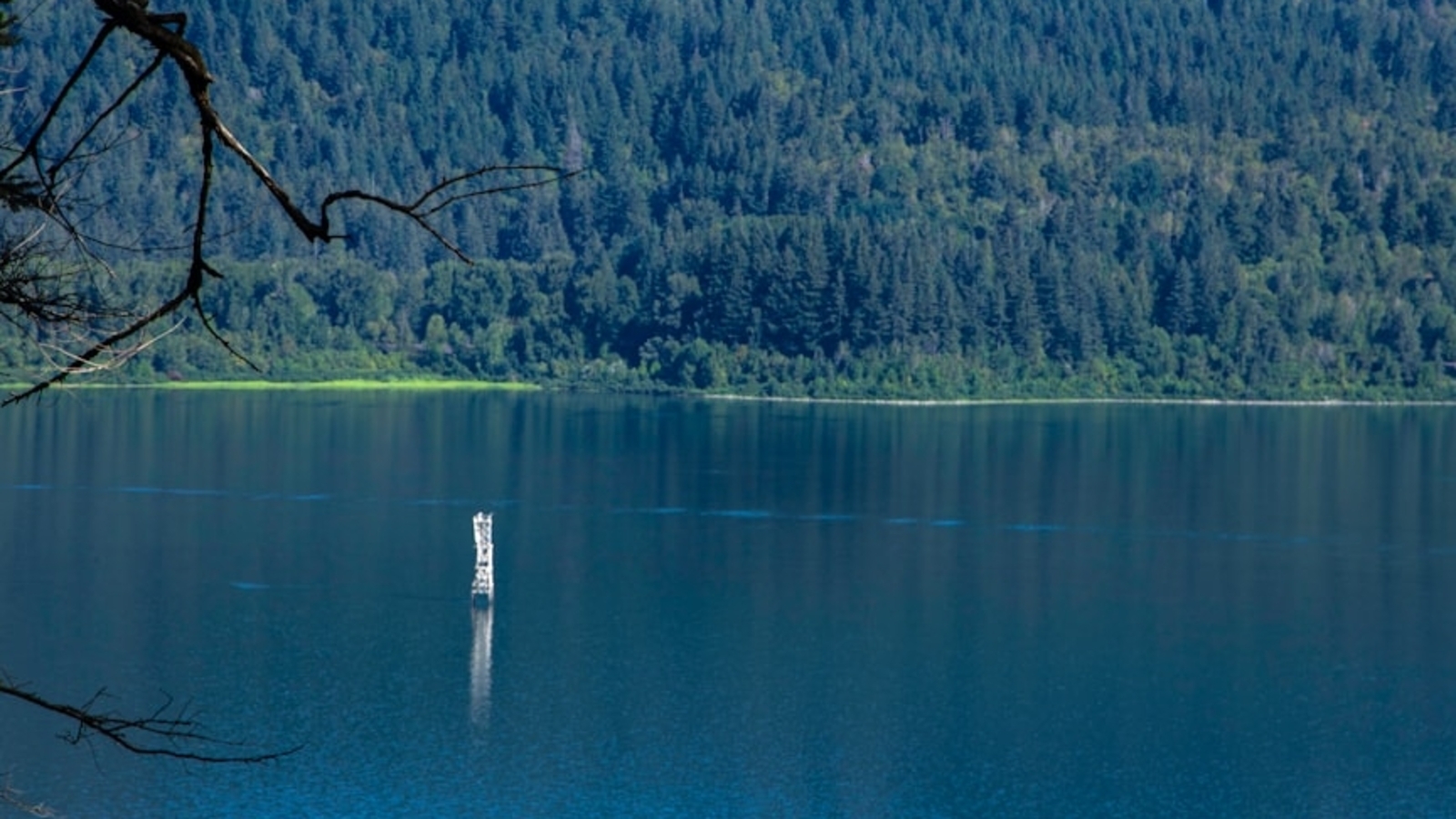 Body found in Siletz River during search for missing Oregon child Dane Paulsen