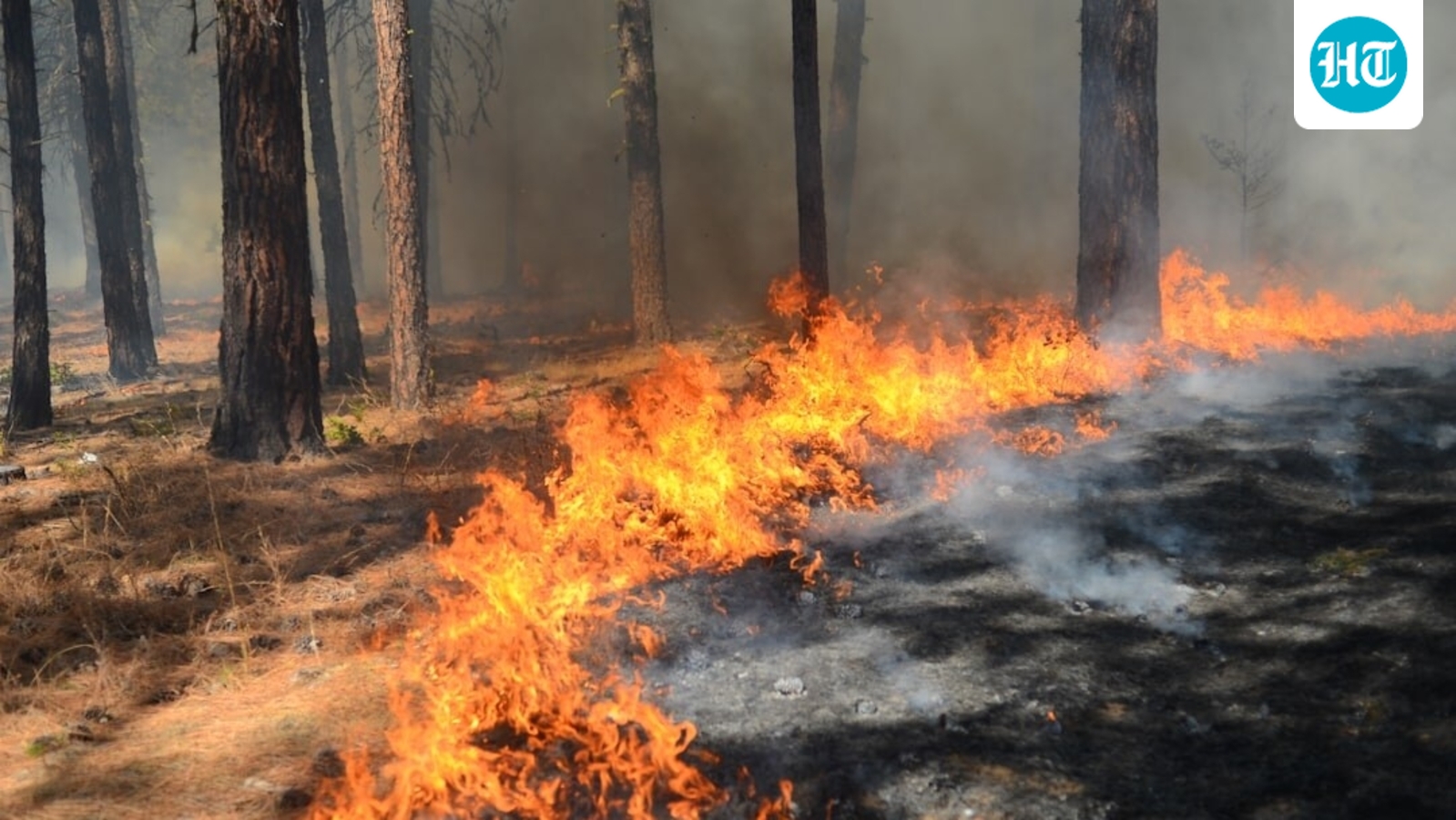 Lynwood Fire in San Bernardino: Massive vegetation blaze North of Sterling; check map as scary videos emerge