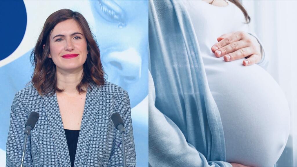 How to fix France's declining birthrate
