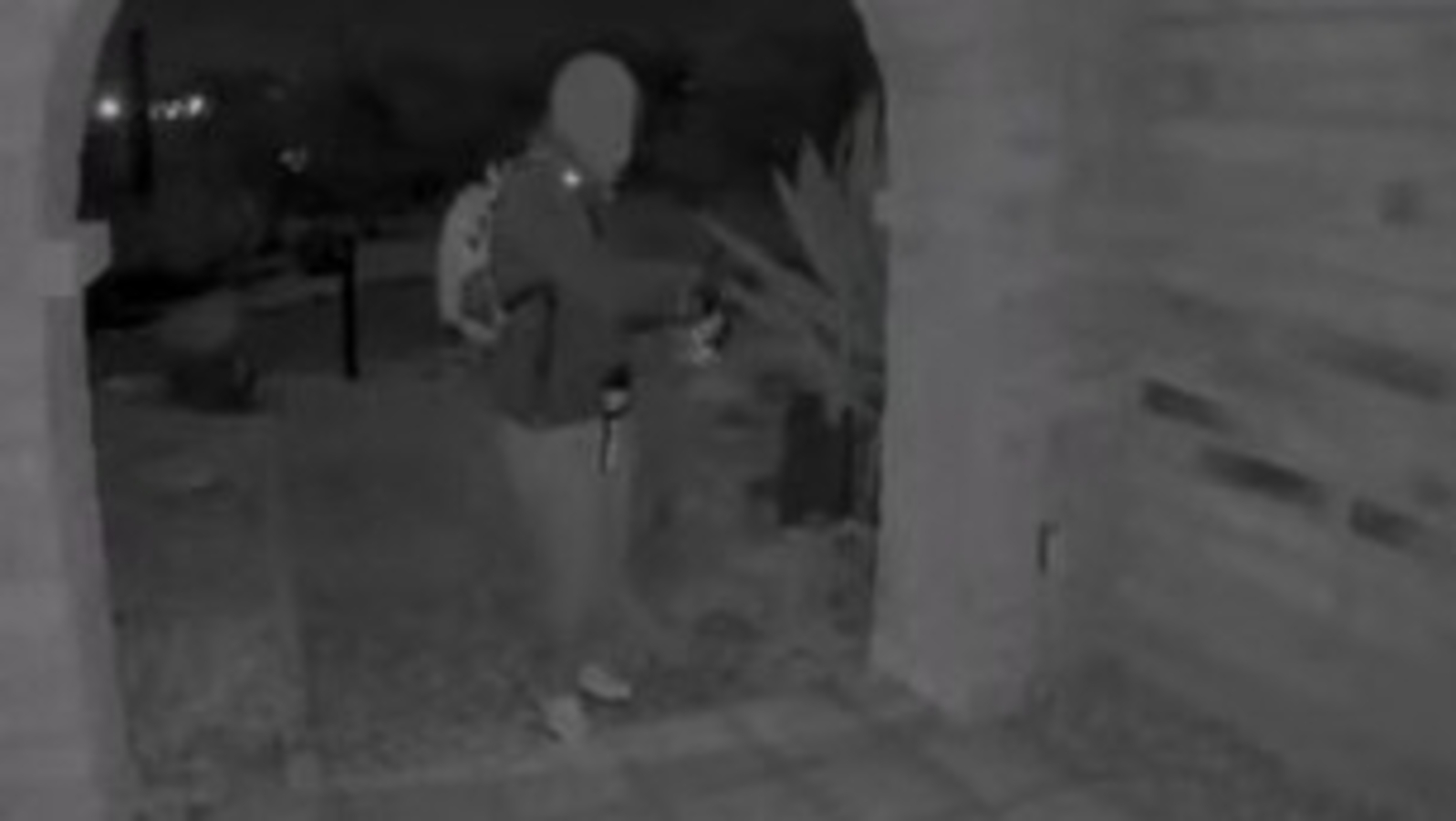 Nancy Guthrie update: Expert unveils hidden clues in disturbing ‘porch guy’ video, ‘2 back doors being open indicate…’