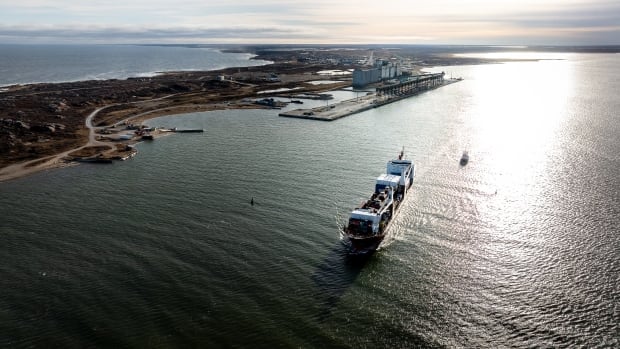 Churchill, Man., residents torn between port expansion, tourism as Ottawa considers nation-building proposal