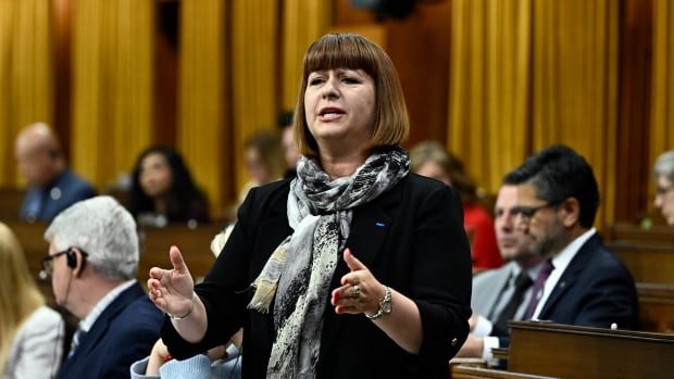 Time is up for the biannual clock change, Liberal MP says