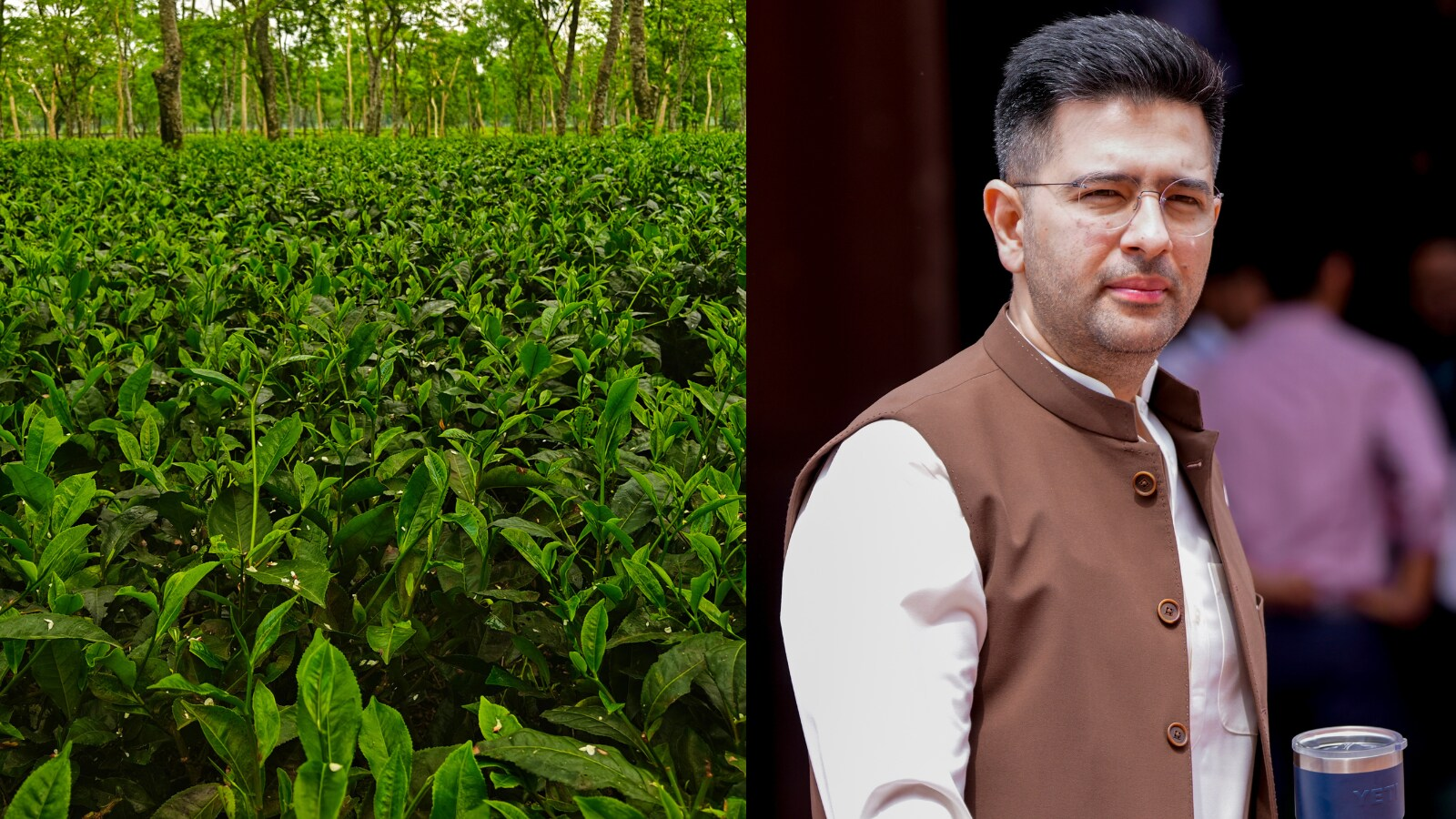 In Bengal tea garden workers’ demands ahead of polls, a mention of Raghav Chadha