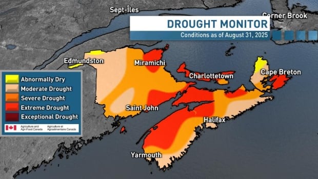 Much of Atlantic region is officially suffering 'extreme drought,' Agriculture Canada confirms