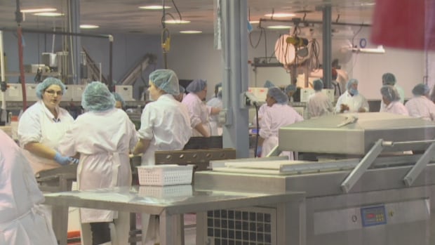 P.E.I.'s migrant workers grappling with fewer hours or layoffs due to Chinese seafood tariffs