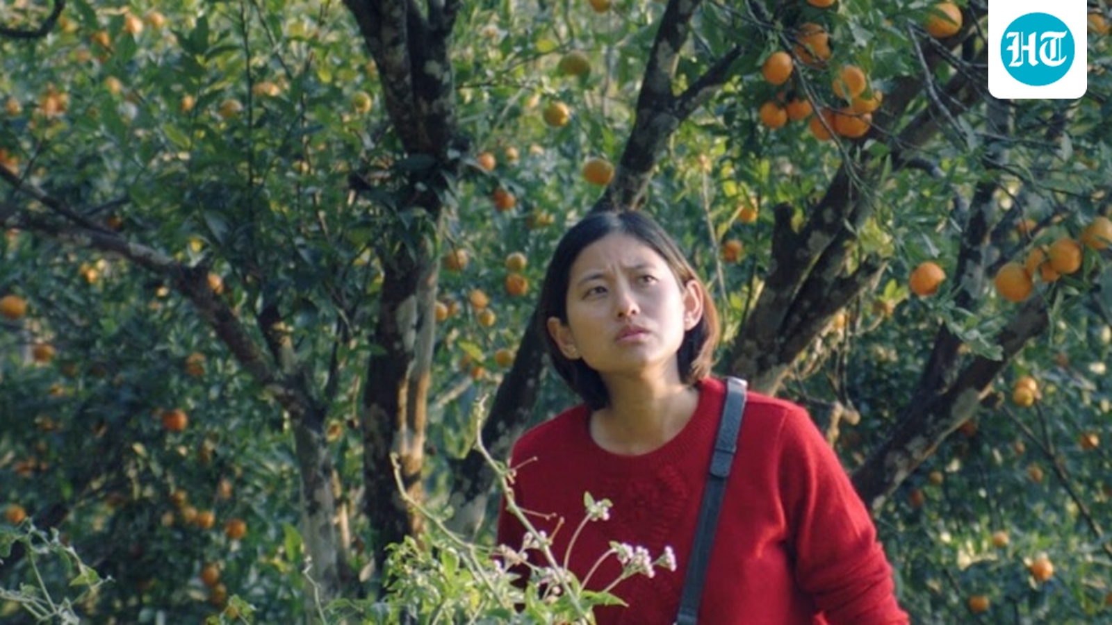 Shape of Momo review: An assured directorial debut from Tribeny Rai