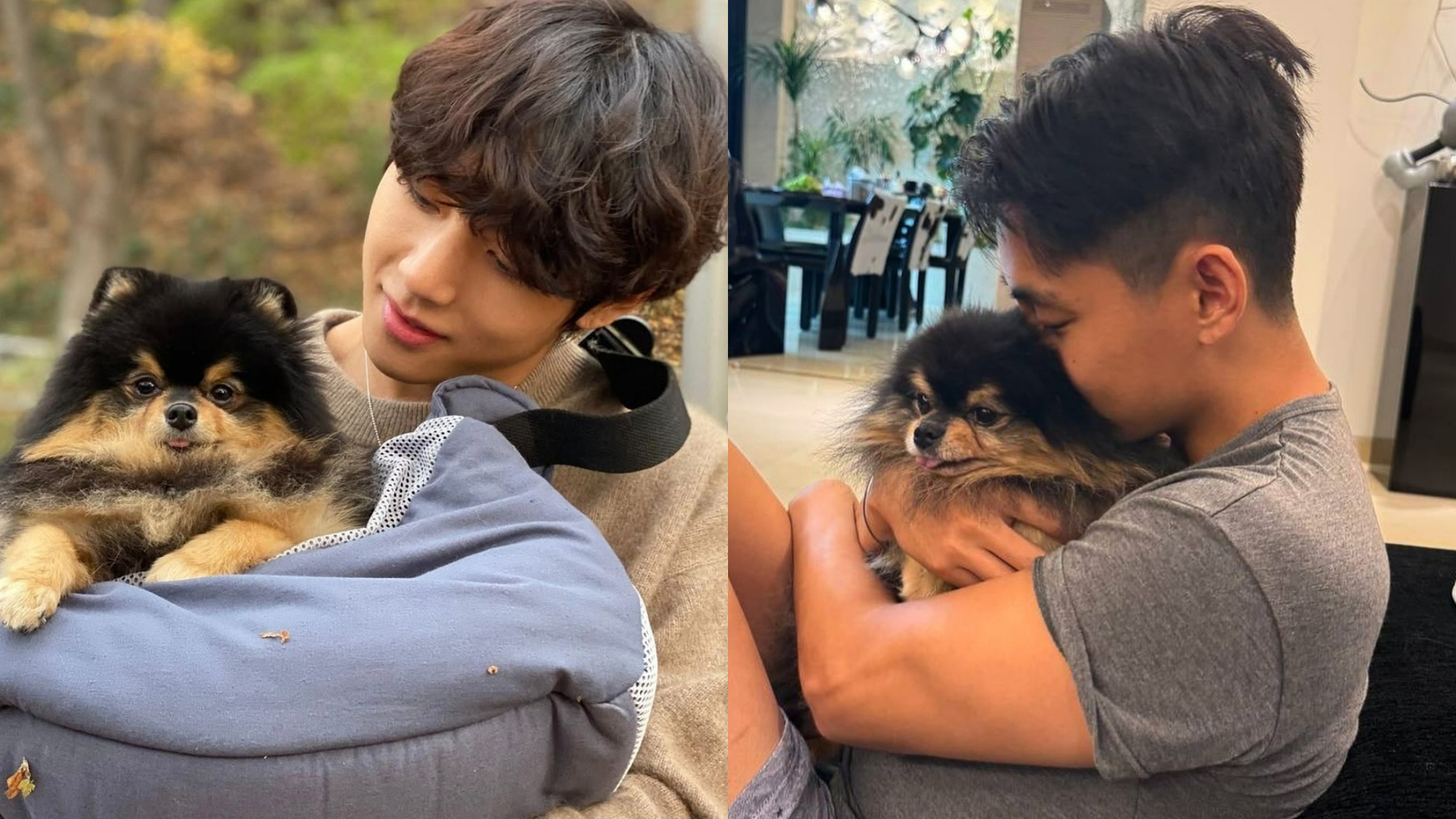 BTS’s V’s beloved dog Yeontan voted Most Beloved Celebrity Pet in a new poll, and it has fans sobbing