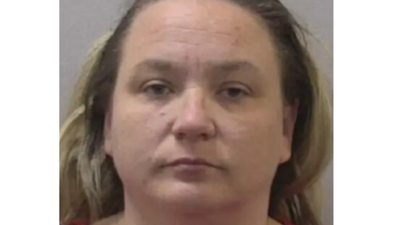 Who is Erin Wheeler? South Carolina ‘Teacher of the Year’ arrested in child assault case, ‘She continued punching them’