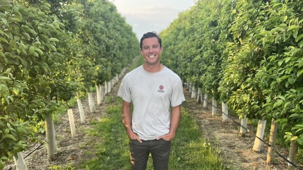 Ontario orchard bans strollers, wagons and backpacks after some 500 pounds of apples stolen