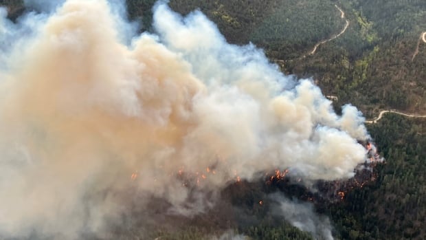 Growing wildfire near Peachland, B.C., prompts evacuation order