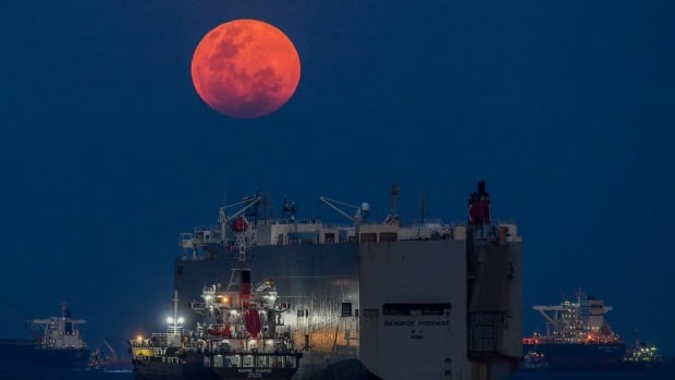 North America will have a blood worm moon this week. Here's how you can see it