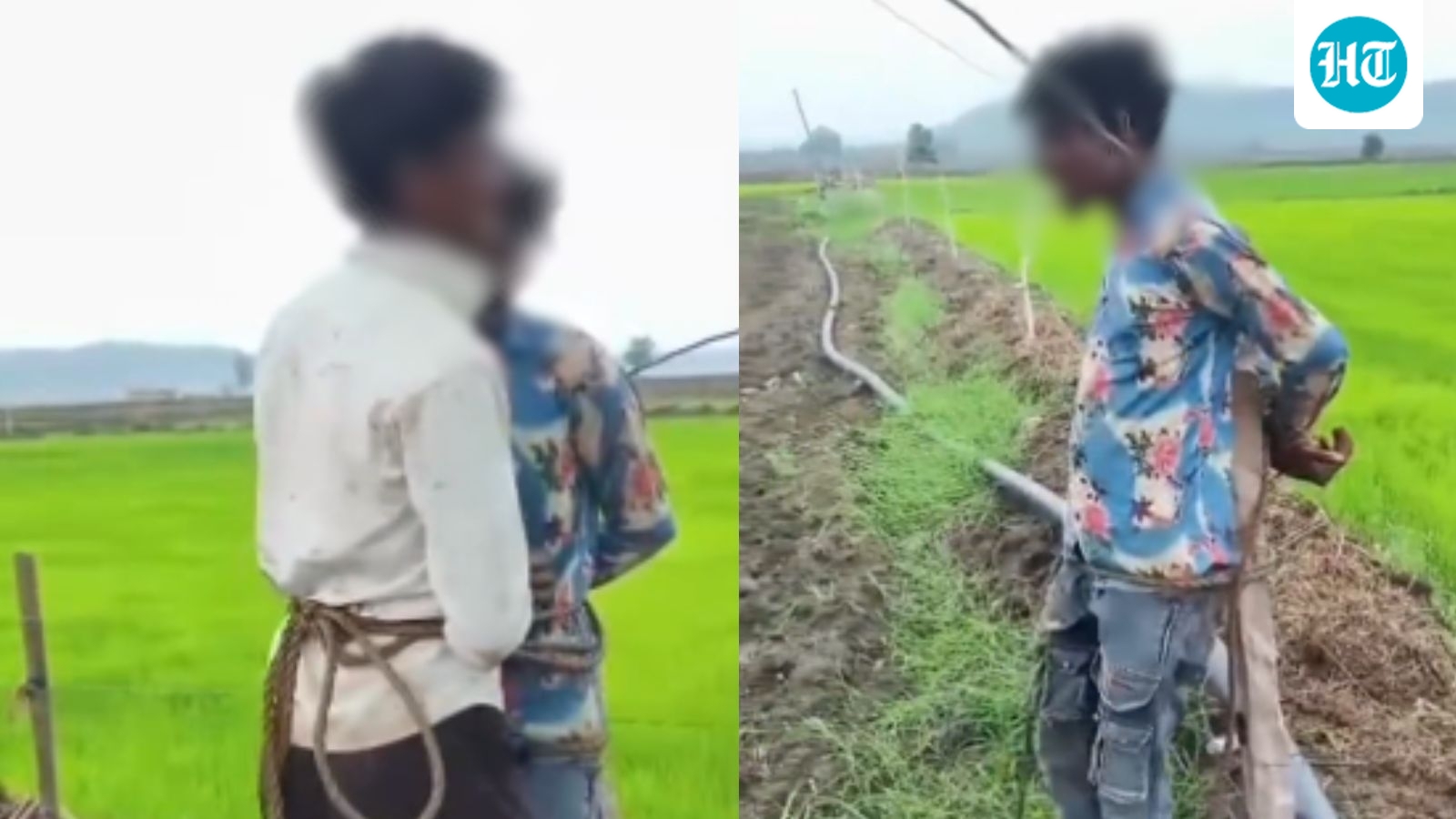 Tied to pole, given electric shocks: Youths tortured over theft suspicion in Madhya Pradesh